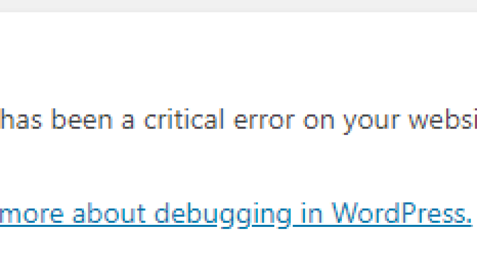 wp critical error